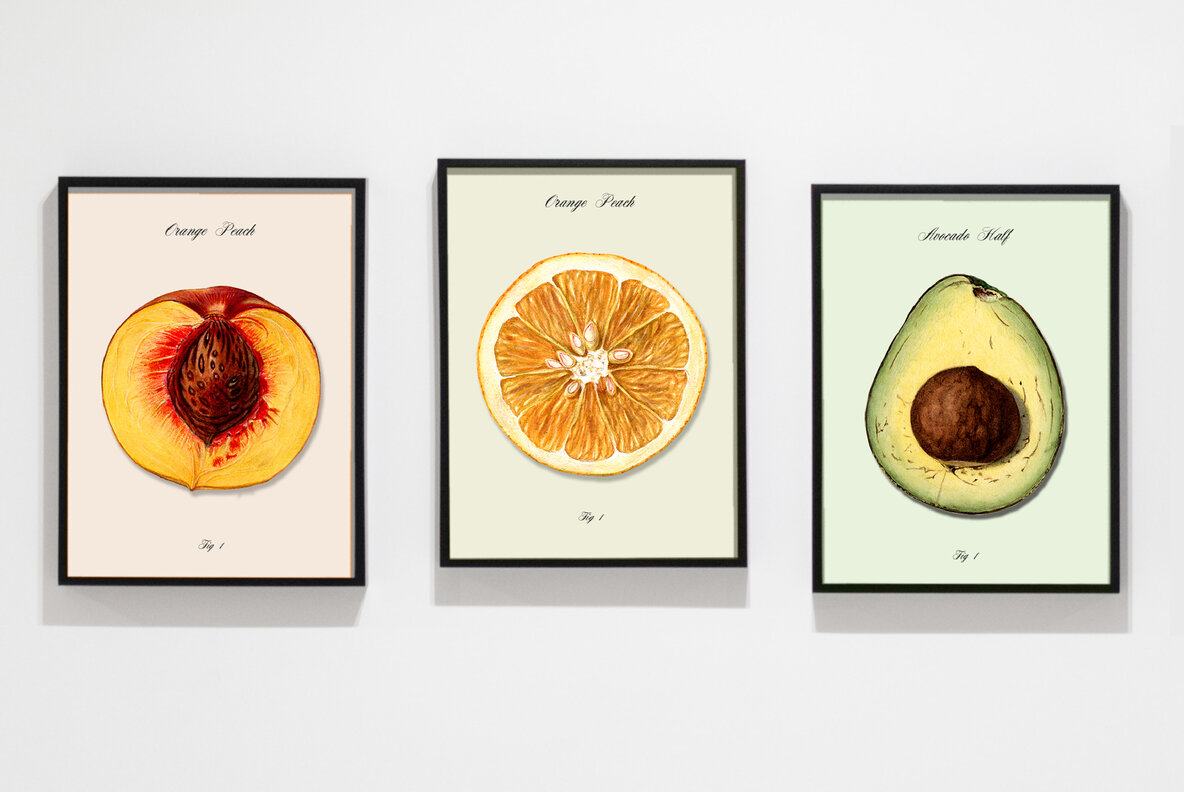Vintage Fruit Watercolor Illustrations 9