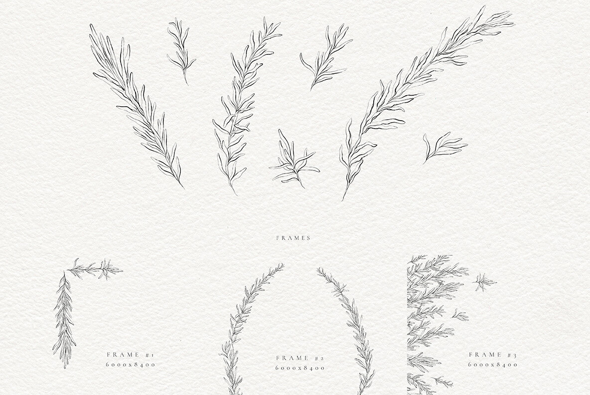 Wedding Invitation Collection 8