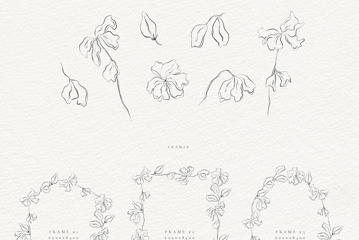 Wedding Invitation Collection 10