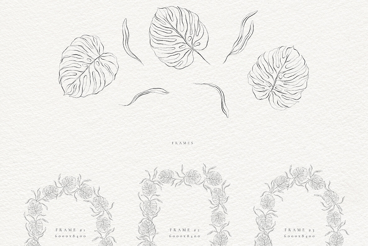 Wedding Invitation Collection 14