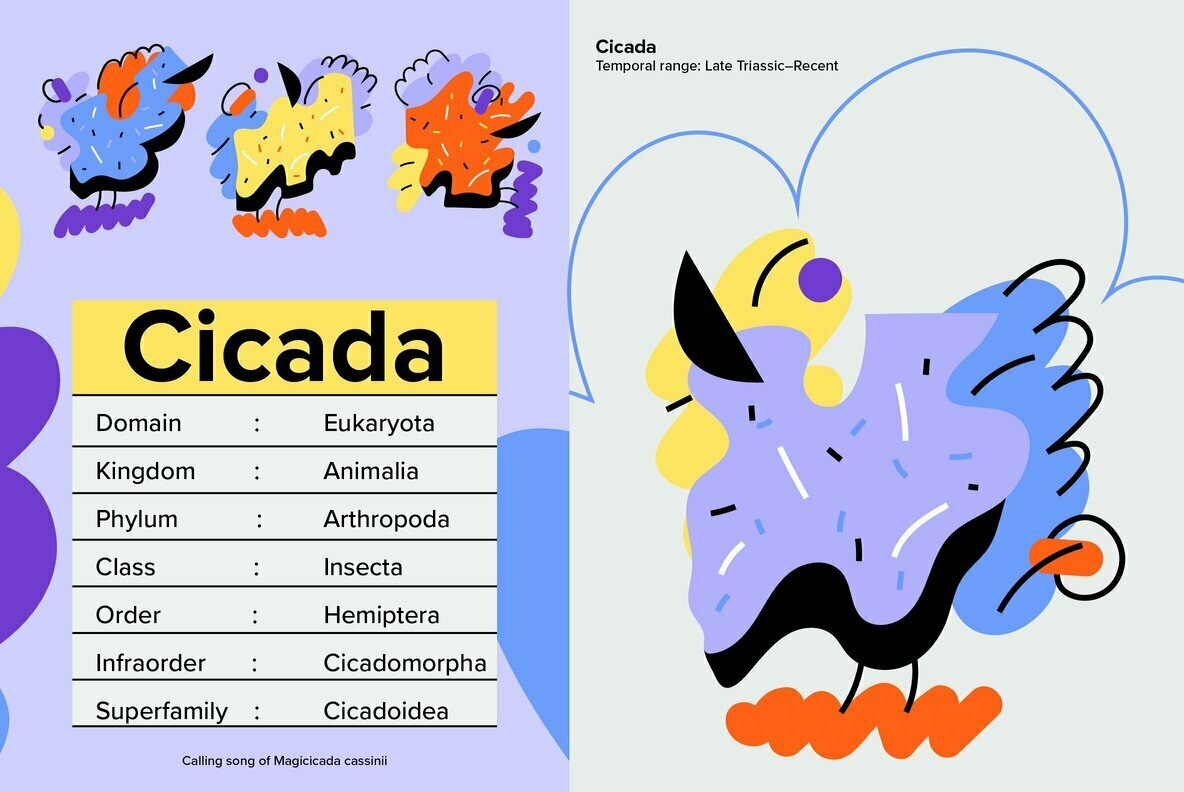Cicada 2