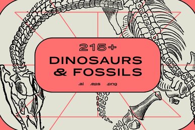 Dinosaurs  Fossils