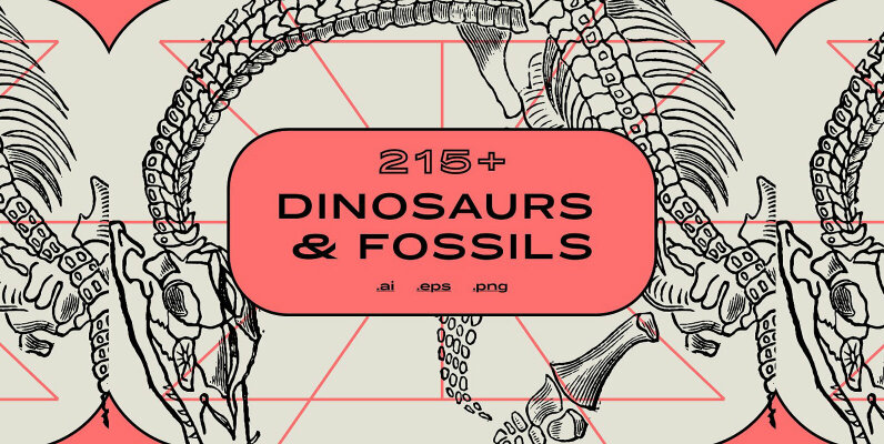 Dinosaurs   Fossils