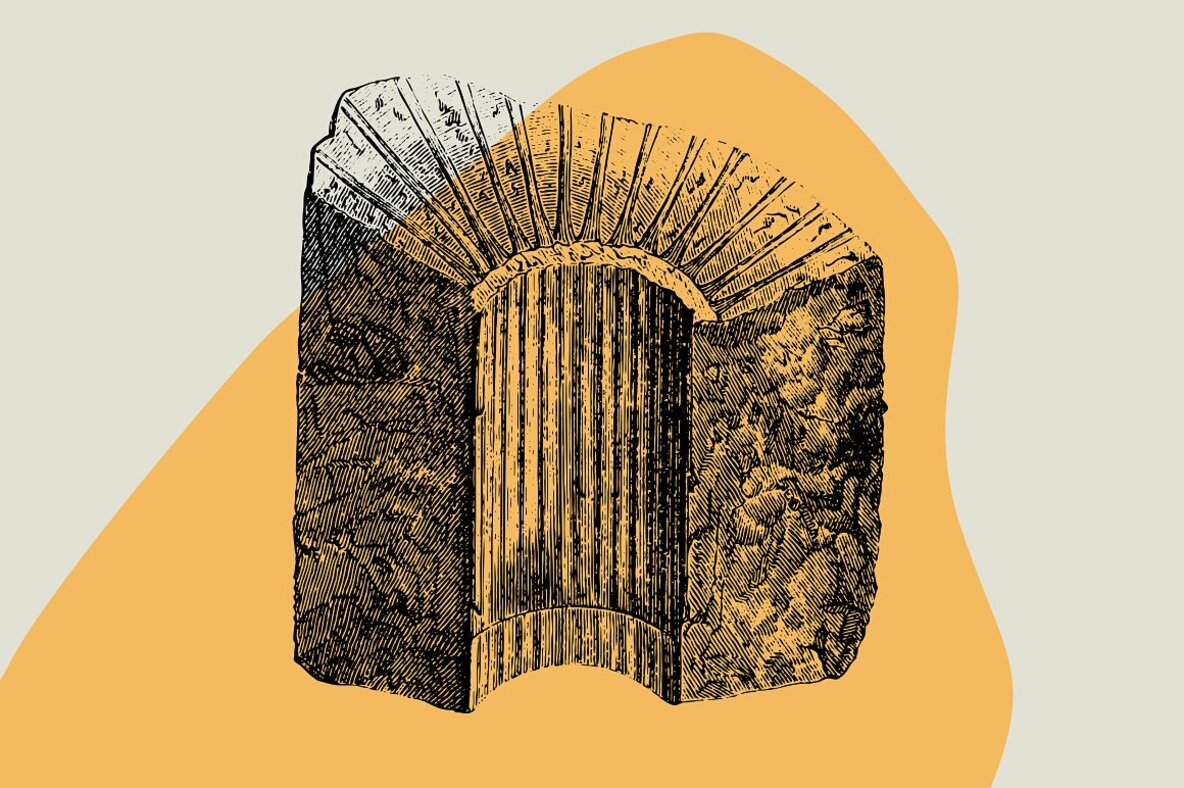 Dinosaurs   Fossils 16