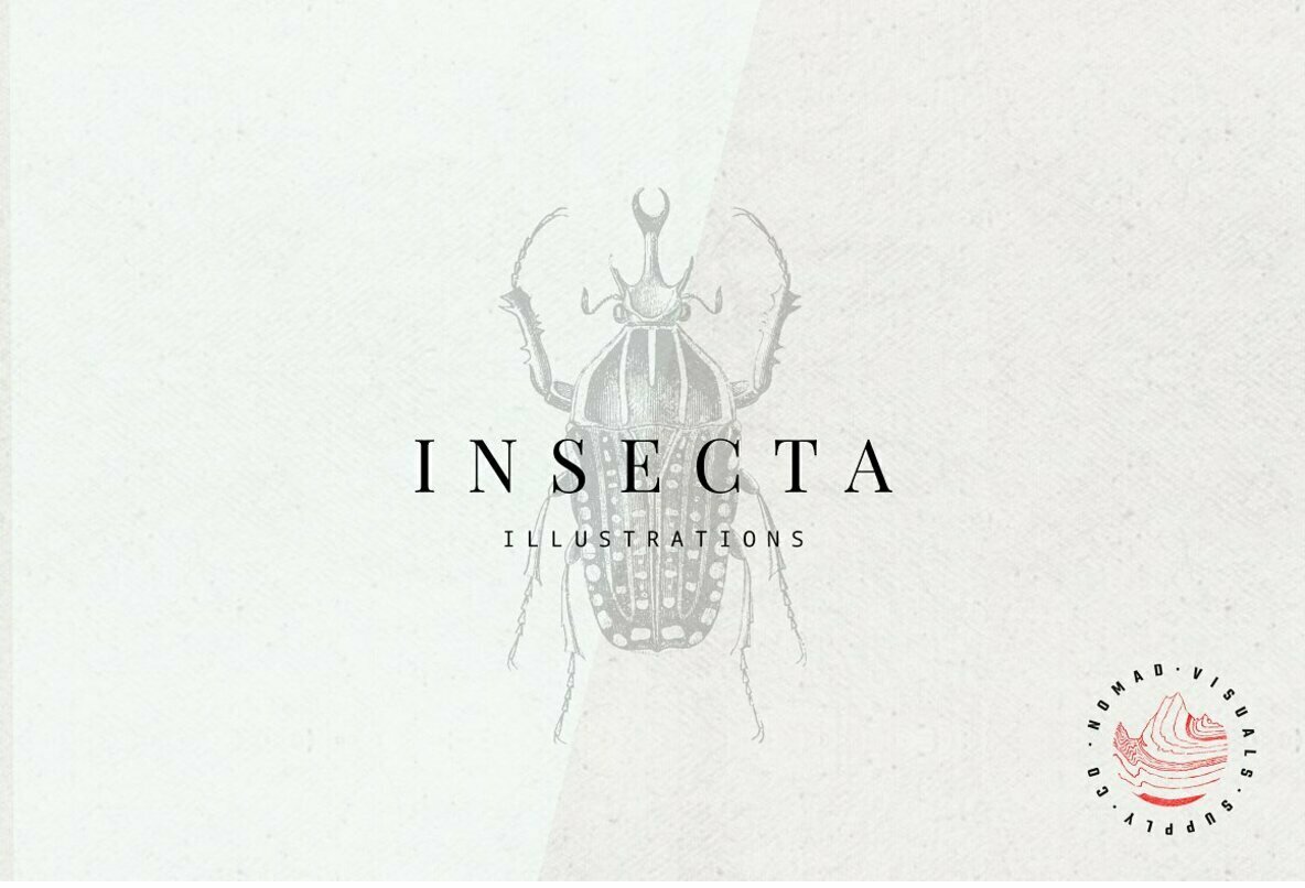 Insecta 1