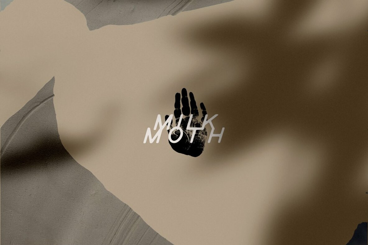 Palmistry  Zodiac   Occult 12