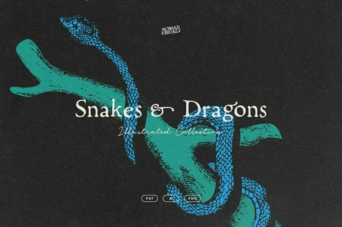 Snakes Dragons Snakes Dragons