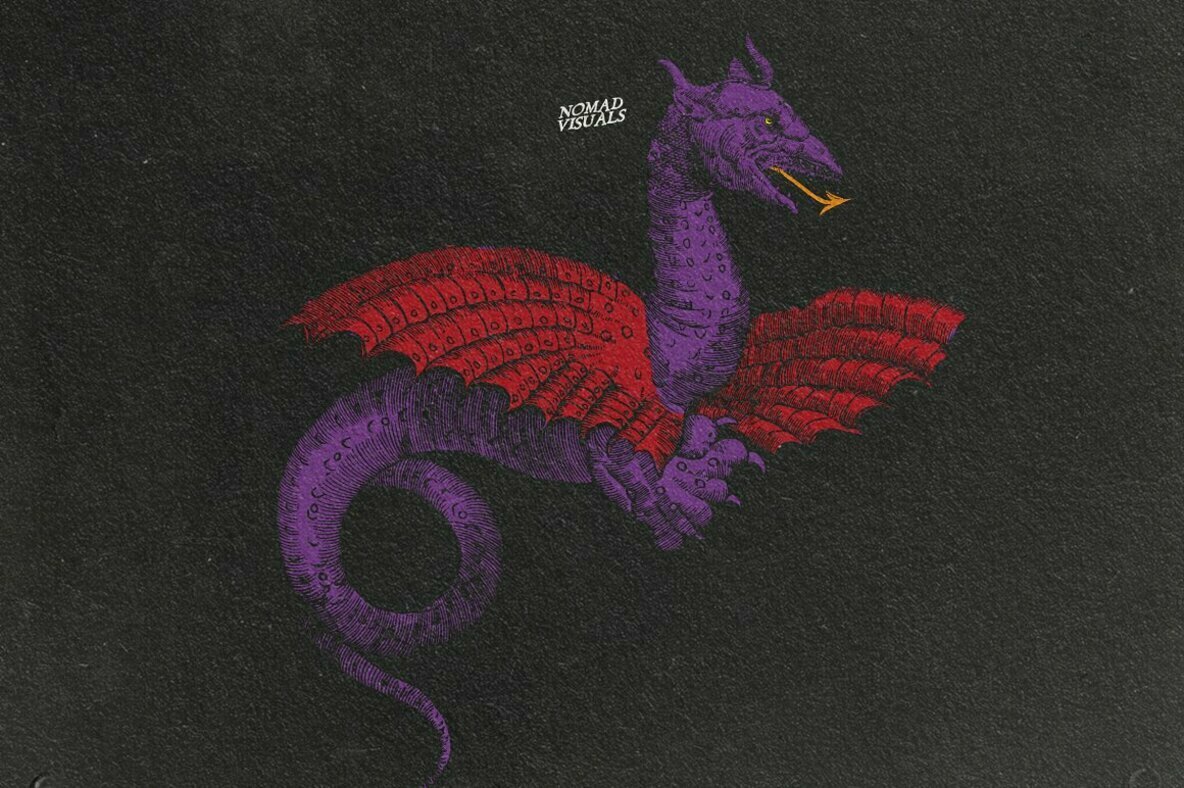 Snakes Dragons Snakes Dragons