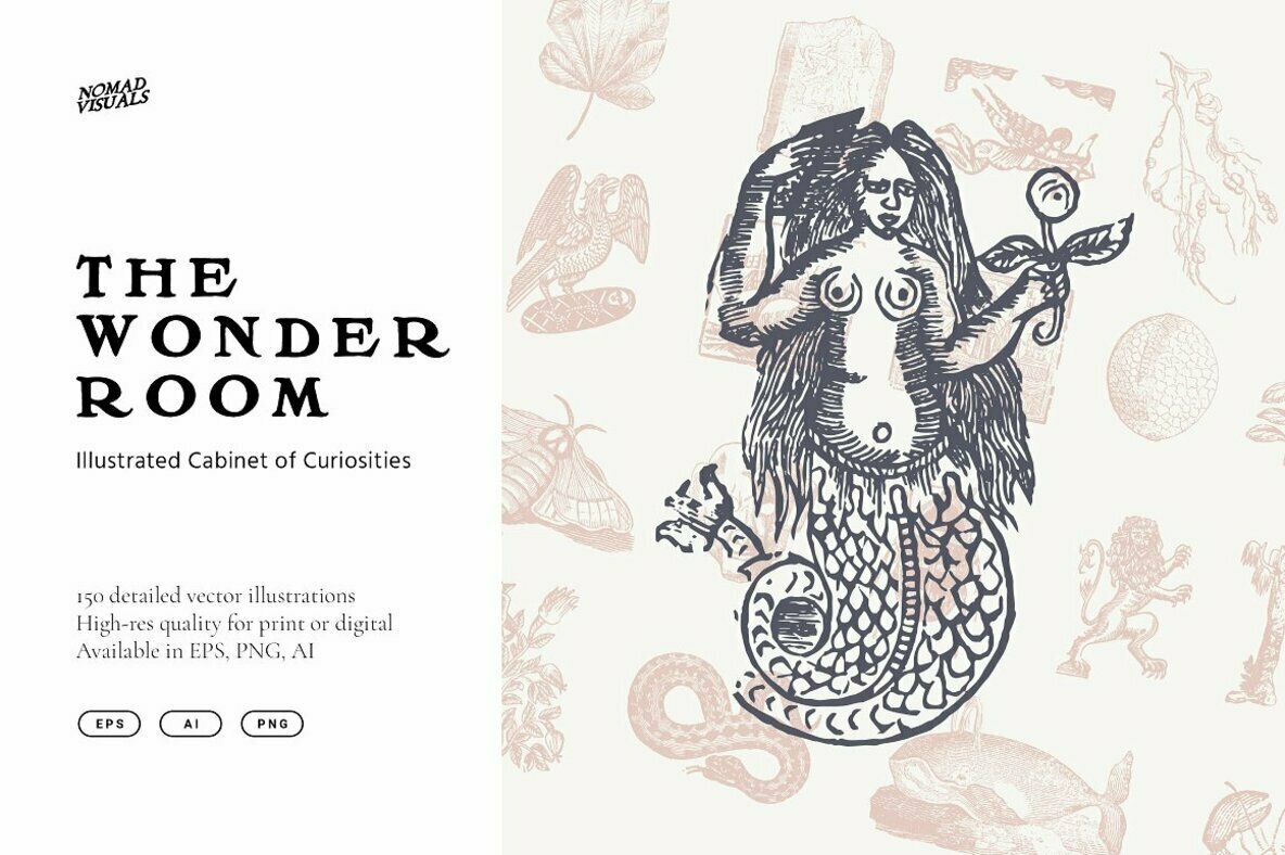 The Wonder Room The Wonder Room