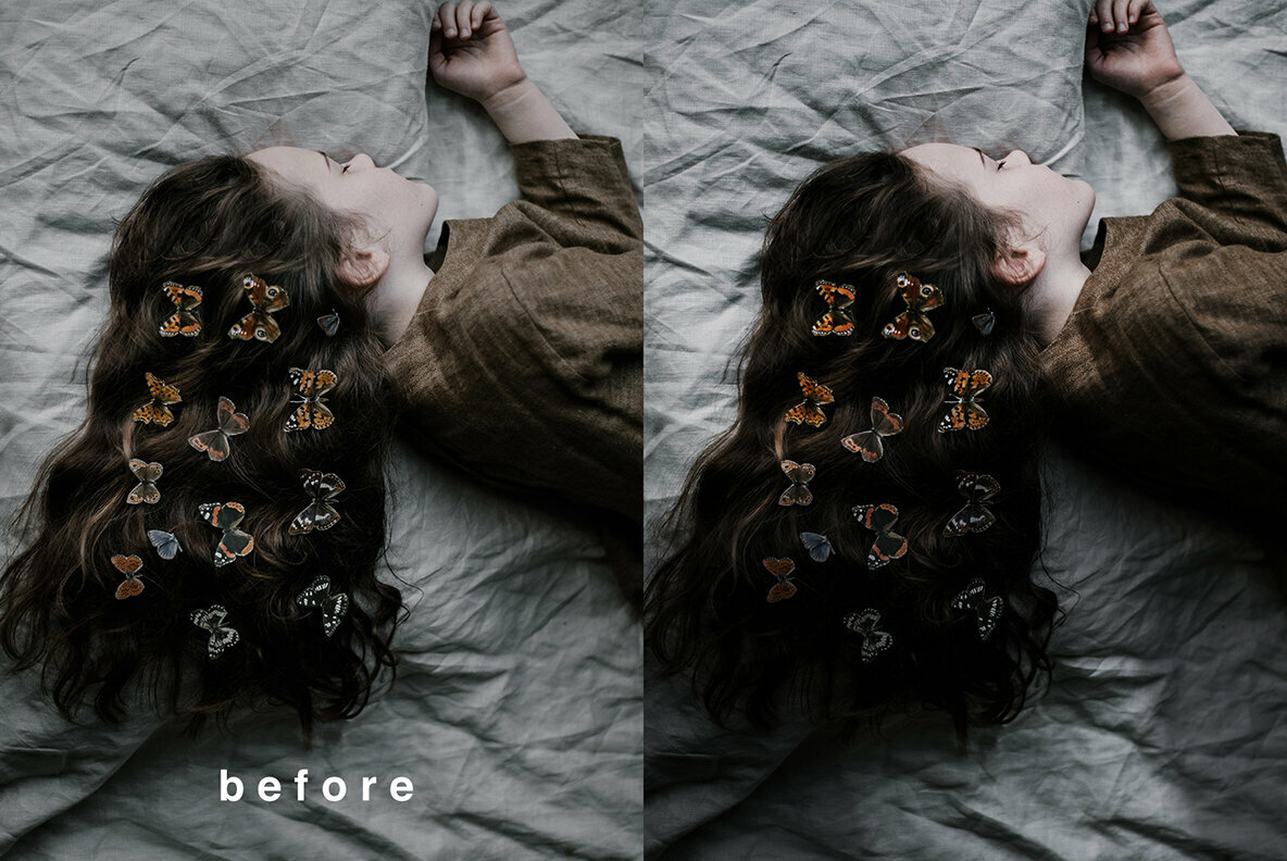 Shadows Overlays Shadows Overlays