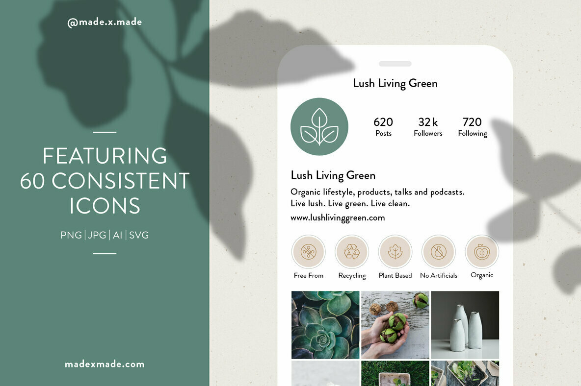 Organic     Instagram Highlight Covers 2