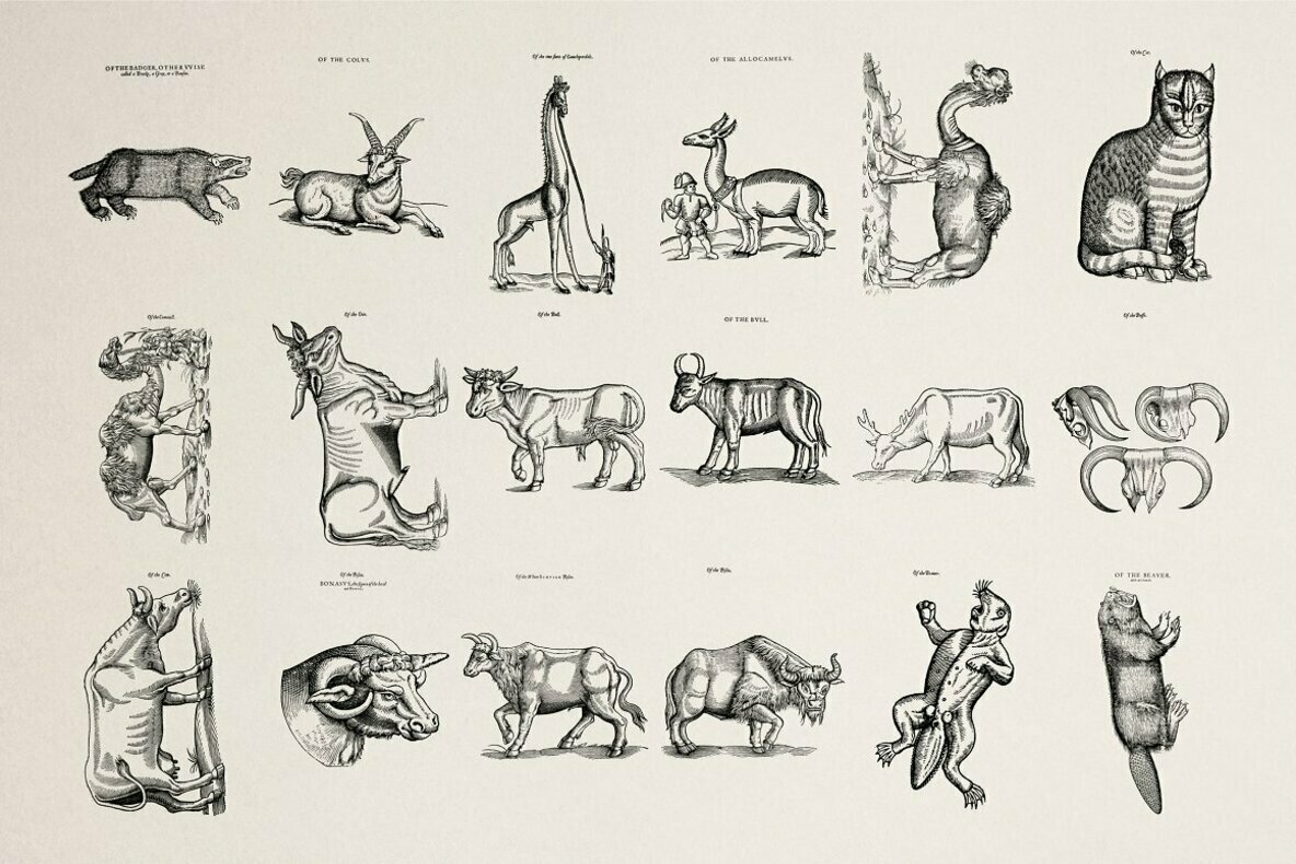 Four Footed Beasts 2