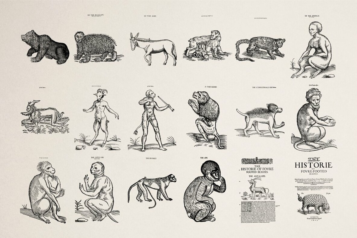 Four Footed Beasts 6