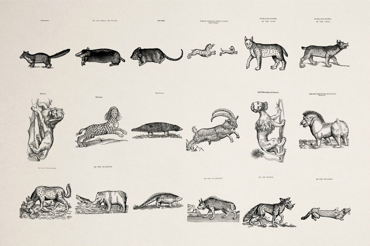 Four Footed Beasts 9