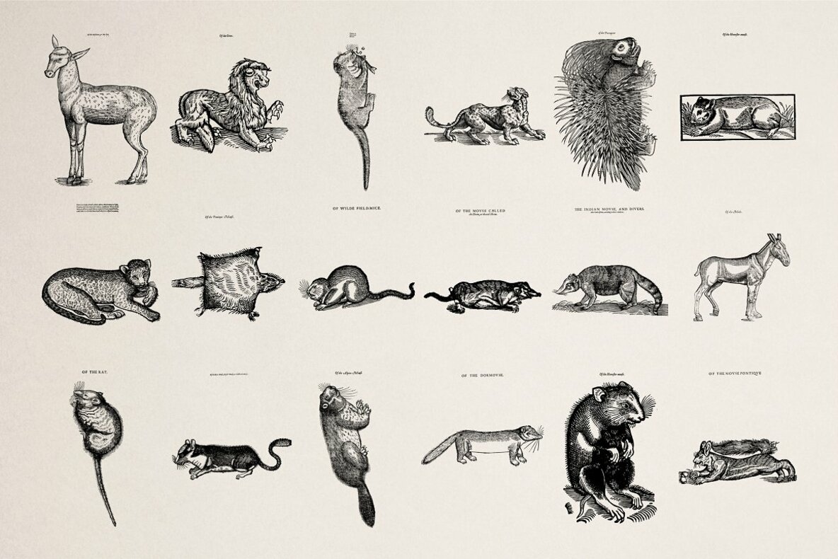 Four Footed Beasts 10