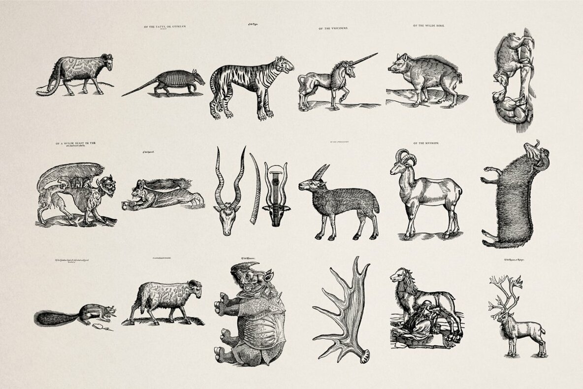 Four Footed Beasts 11