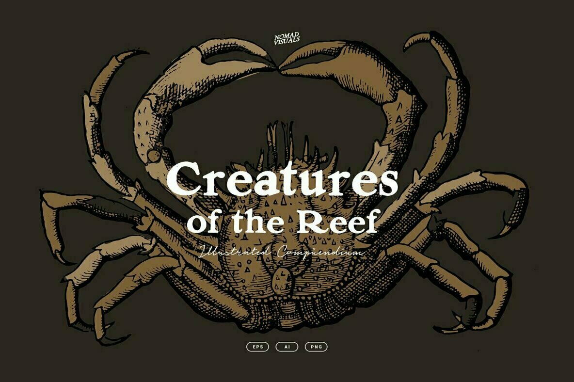 Creatures of the Reef 1