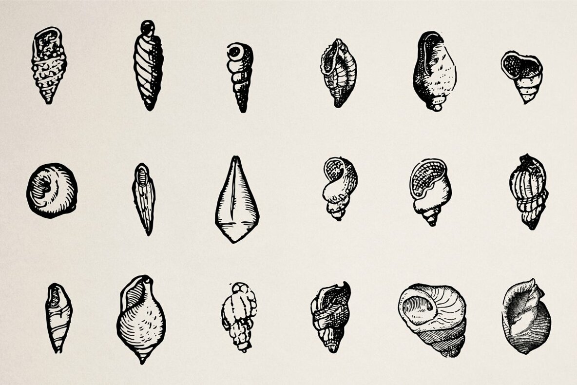 Creatures of the Reef 9