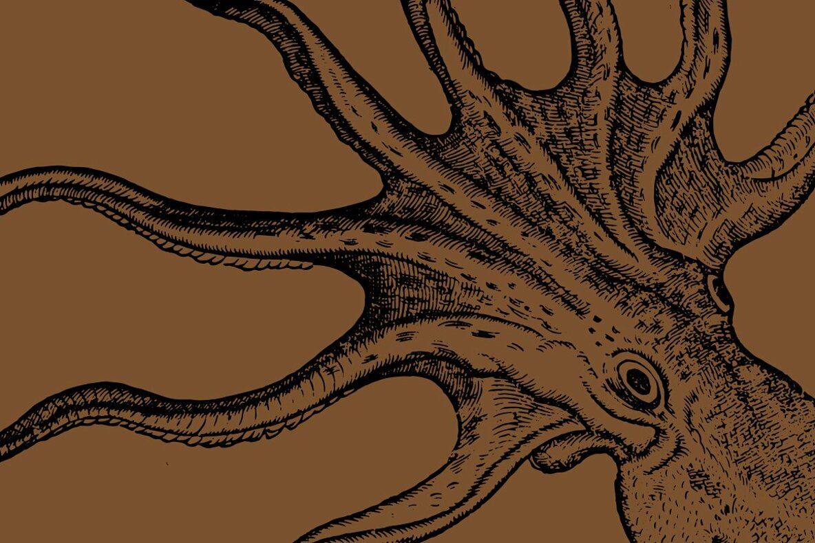 Creatures of the Reef 10