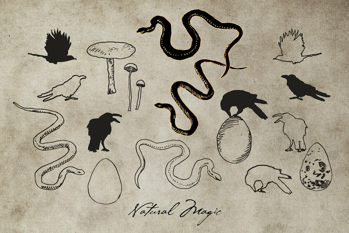 The Messy Mystic Graphic Divination Toolkit The Messy Mystic Graphic Divination Toolkit