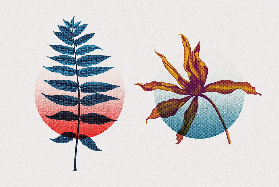 Risograph Double Exposure Effect Risograph Double Exposure Effect