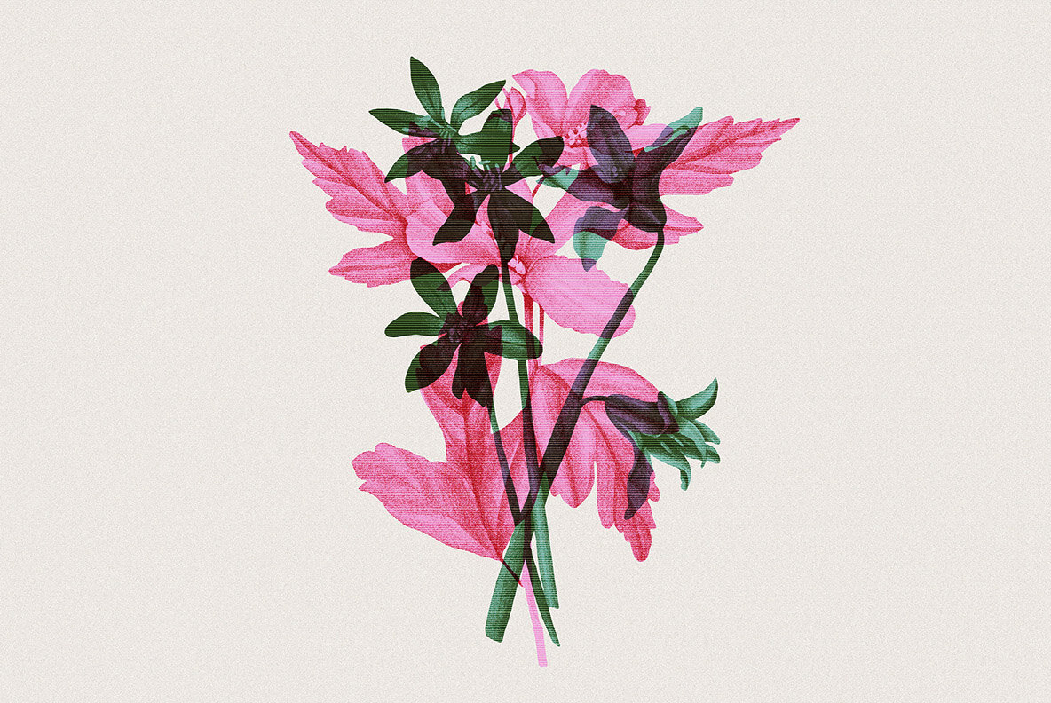Risograph Double Exposure Effect Risograph Double Exposure Effect
