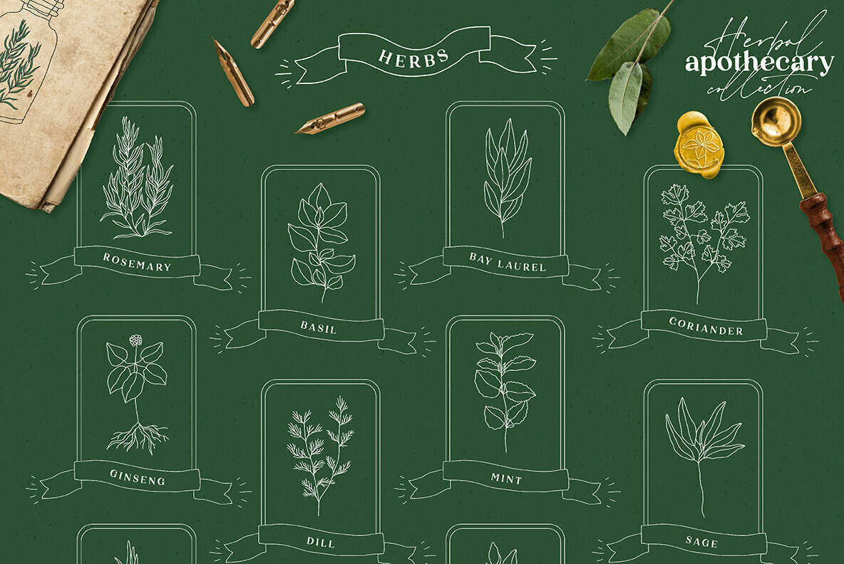 Herbal Apothecary Collection Herbal Apothecary Collection