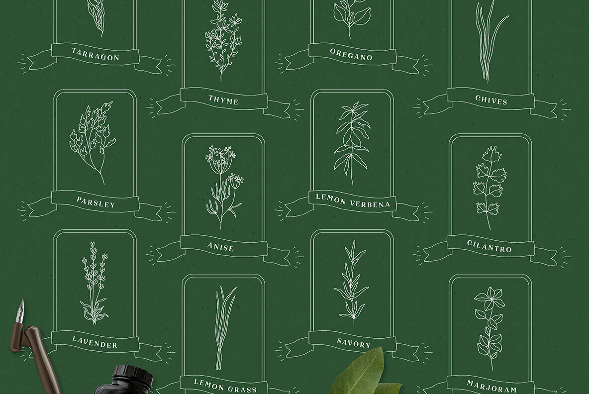 Herbal Apothecary Collection Herbal Apothecary Collection
