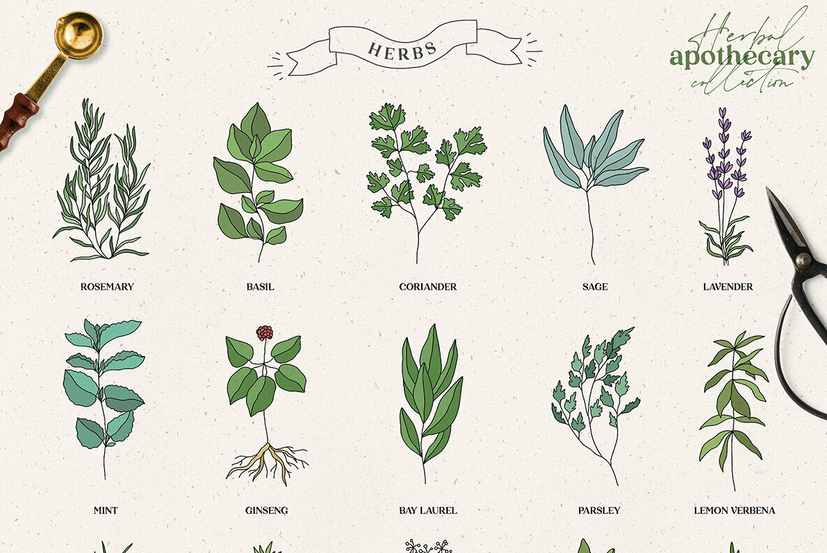 Herbal Apothecary Collection Herbal Apothecary Collection