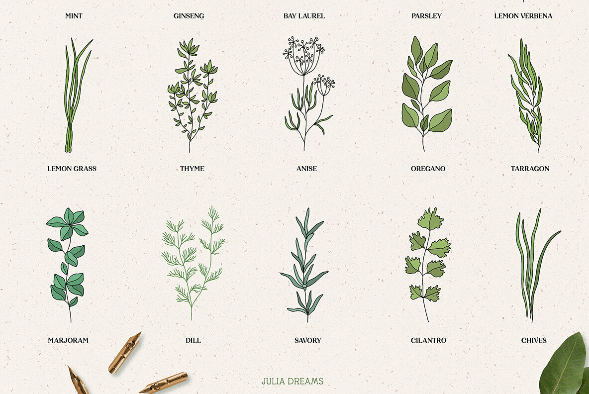 Herbal Apothecary Collection Herbal Apothecary Collection