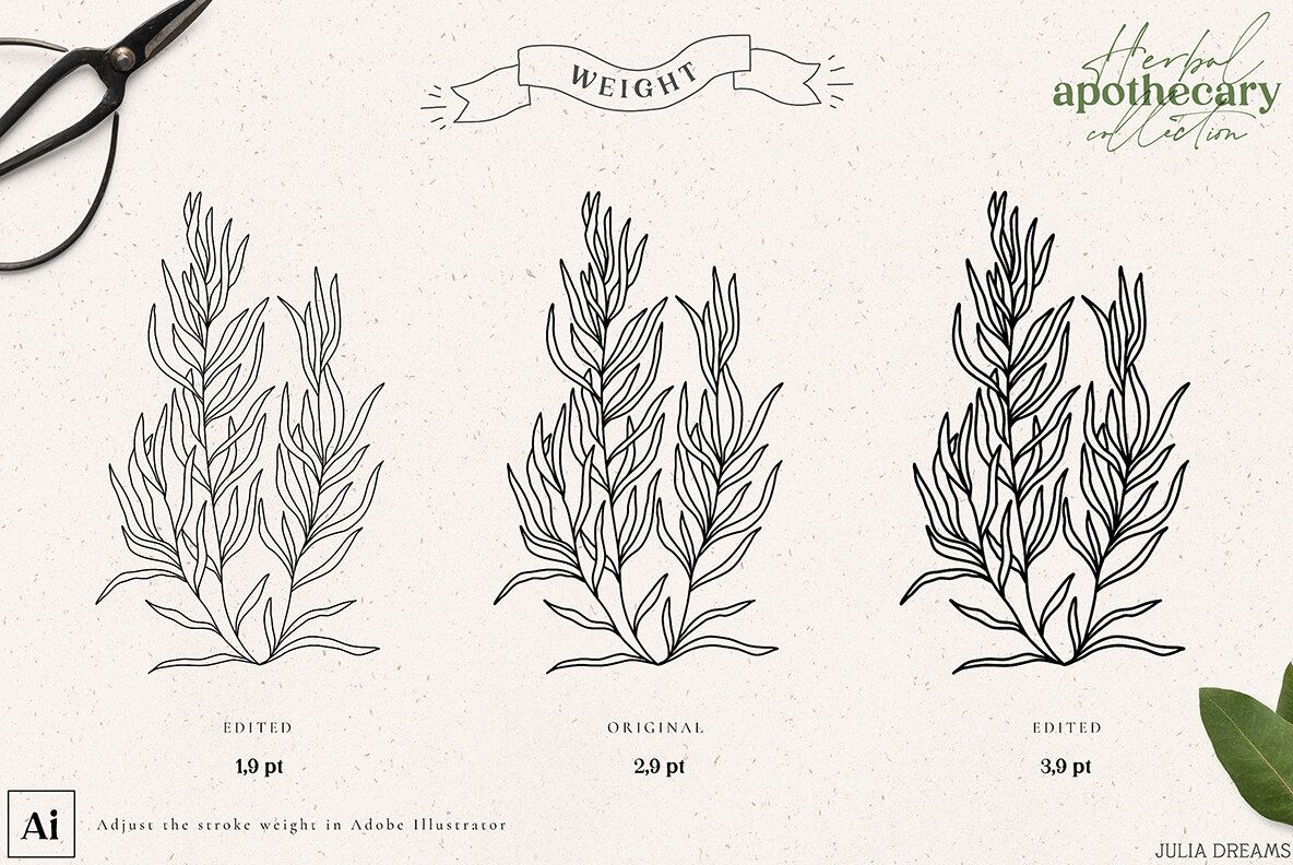 Herbal Apothecary Collection Herbal Apothecary Collection