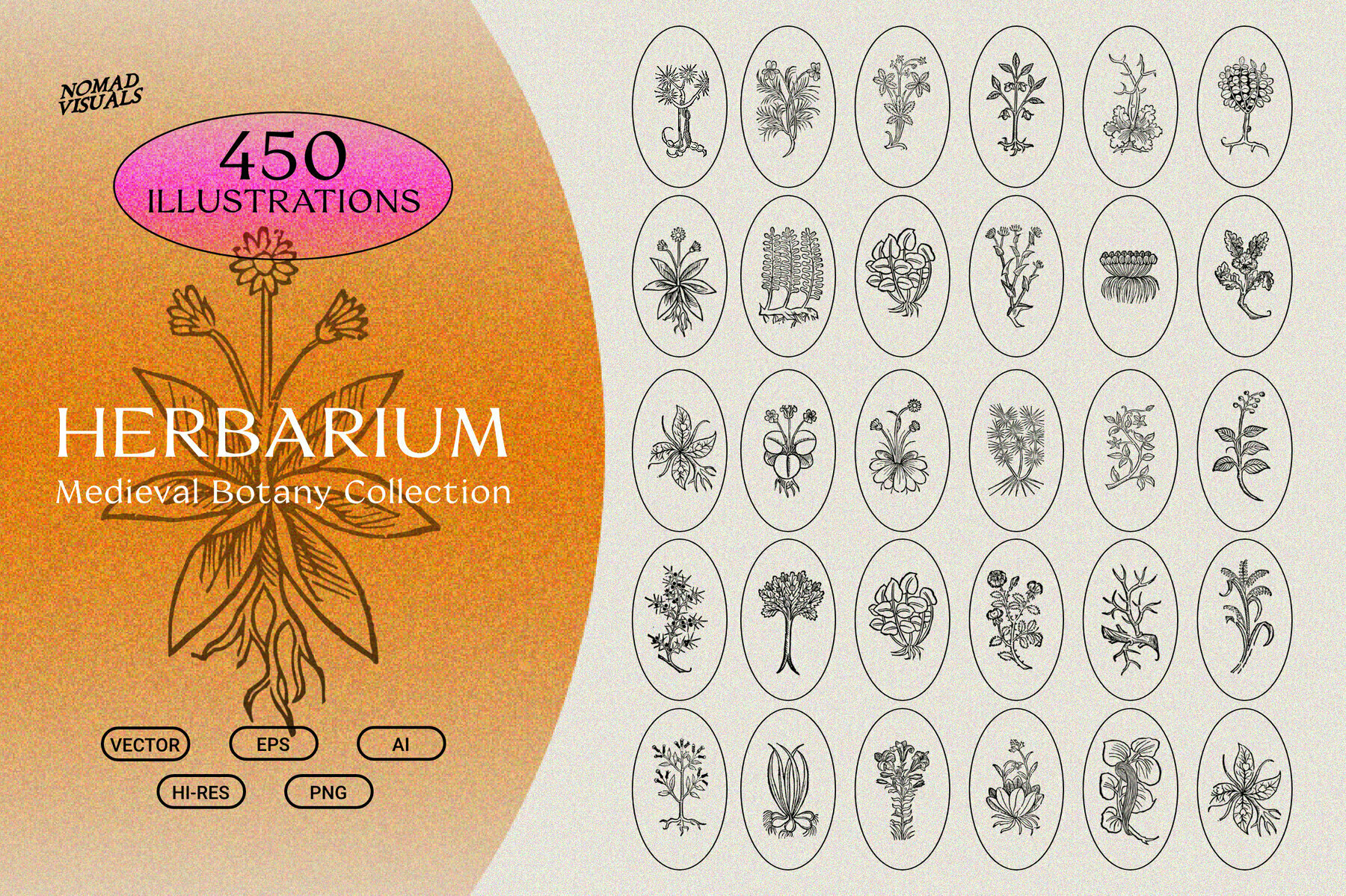 Herbarium Botanical Collection Herbarium Botanical Collection