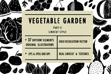 Vegetable Garden II