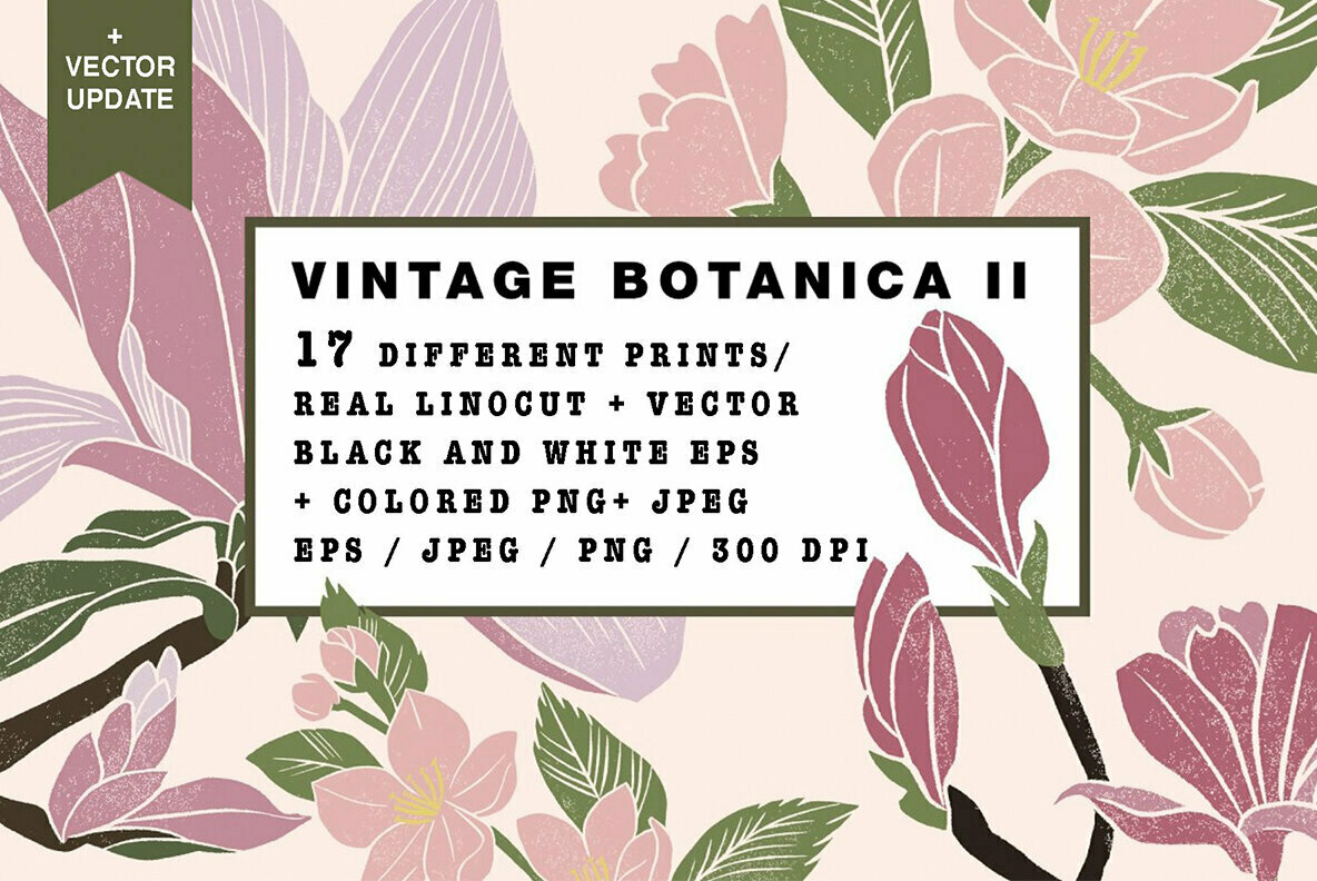 Vintage Botanika II Vintage Botanika II