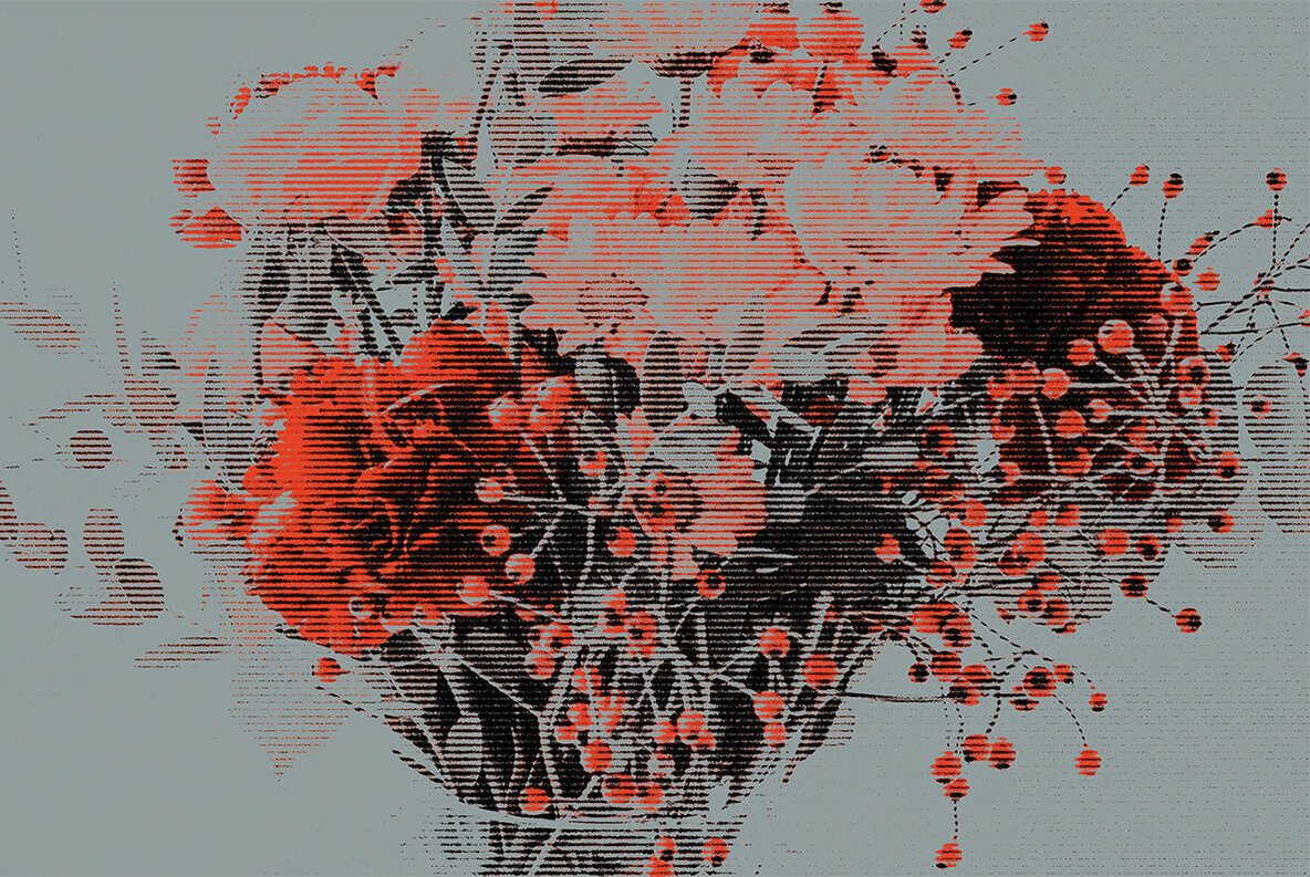Image Mod Bundle Image Mod Bundle