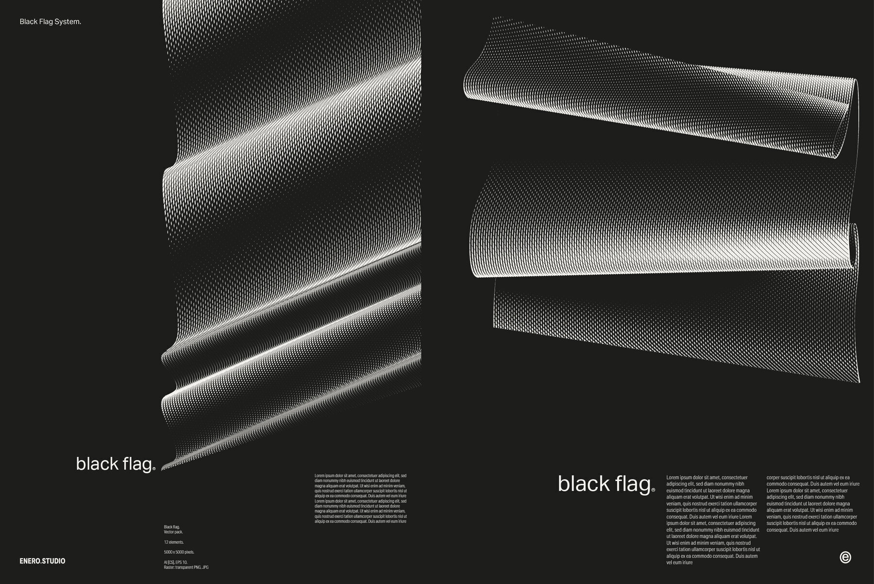 Black Flag Vector Pack 2
