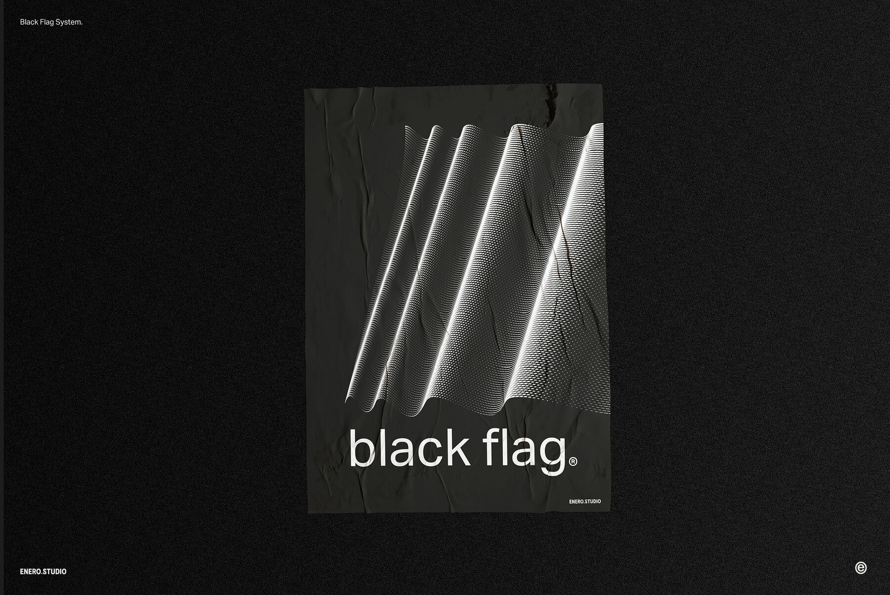 Black Flag Vector Pack 9