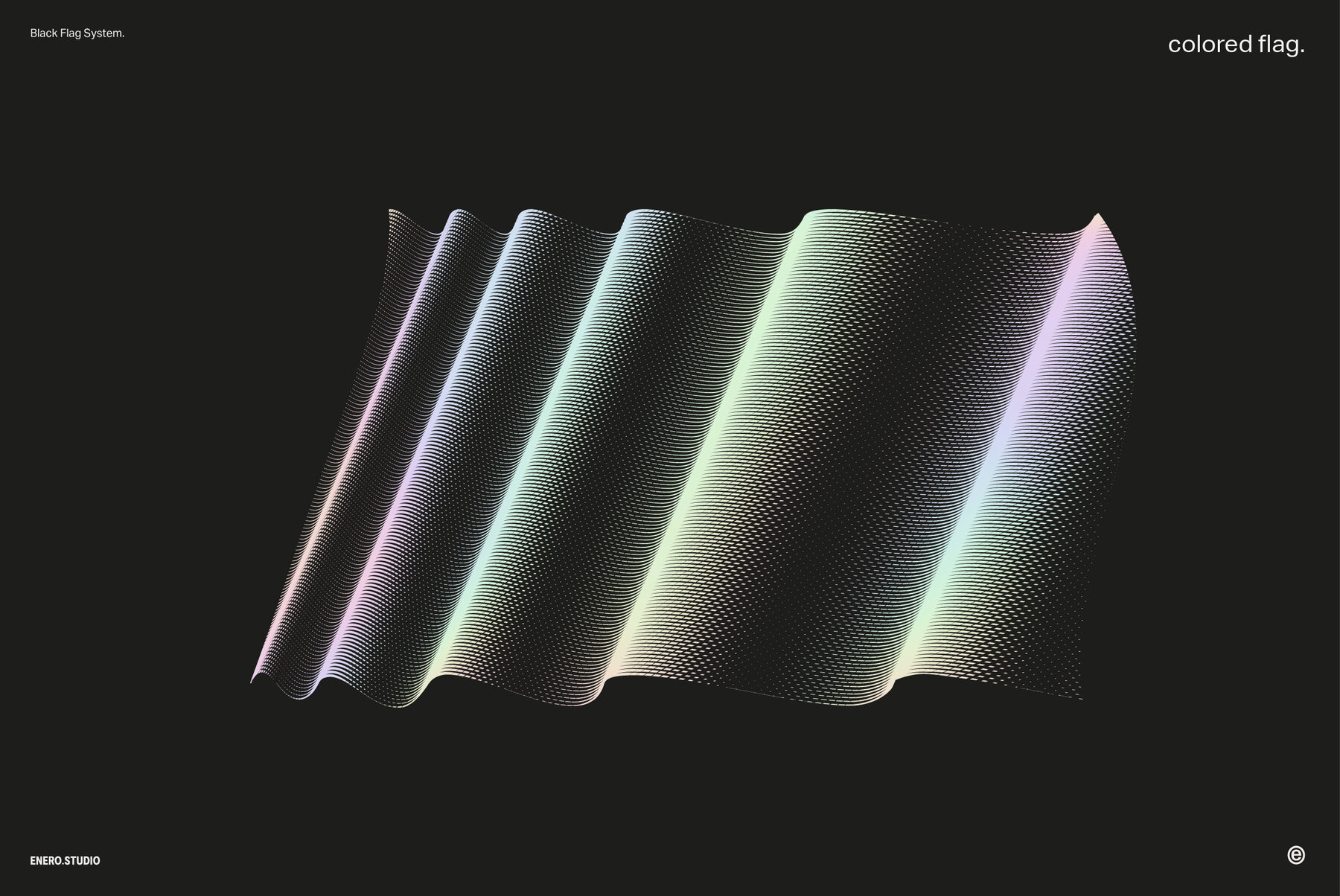 Black Flag Vector Pack 12