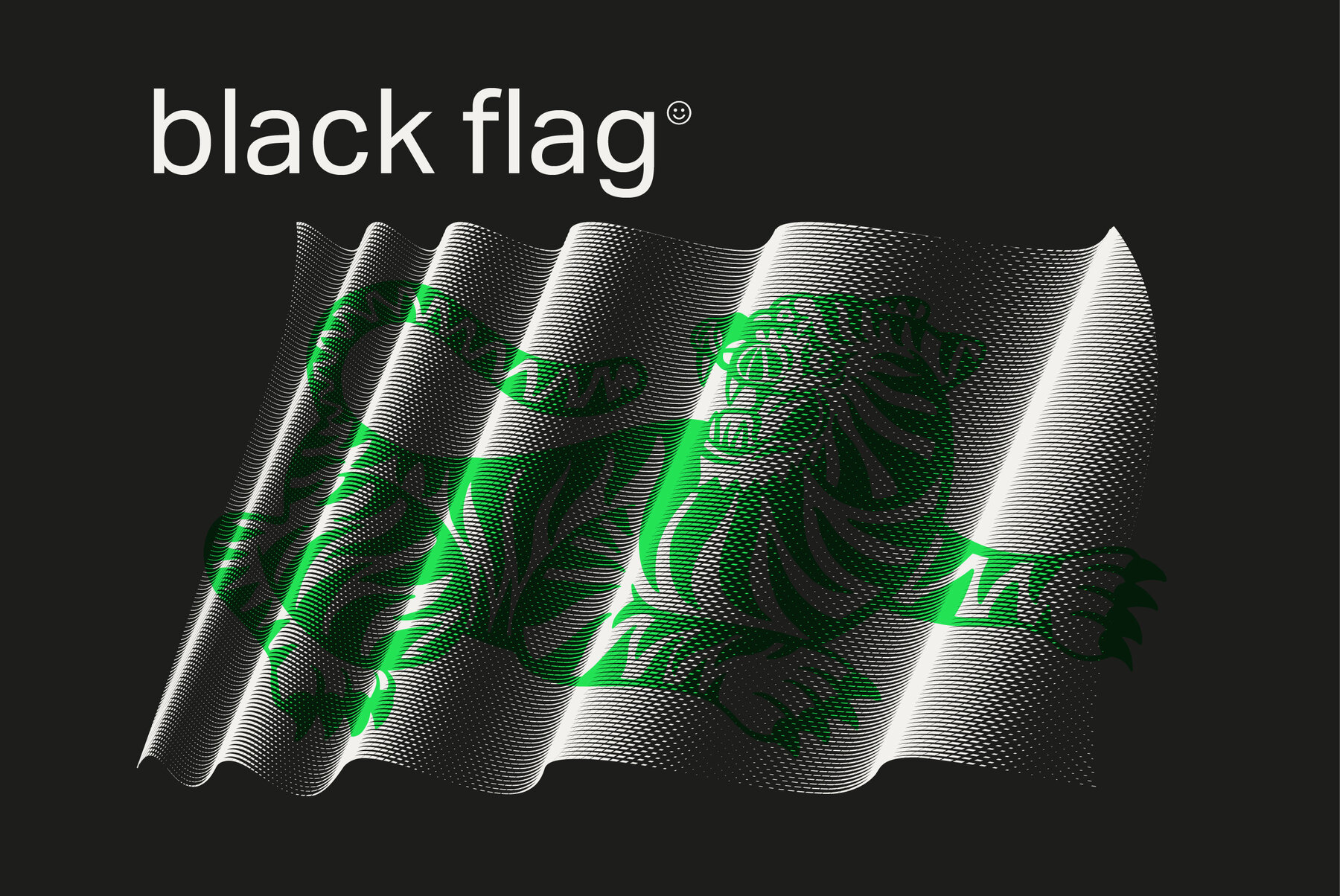 Black Flag Vector Pack 22