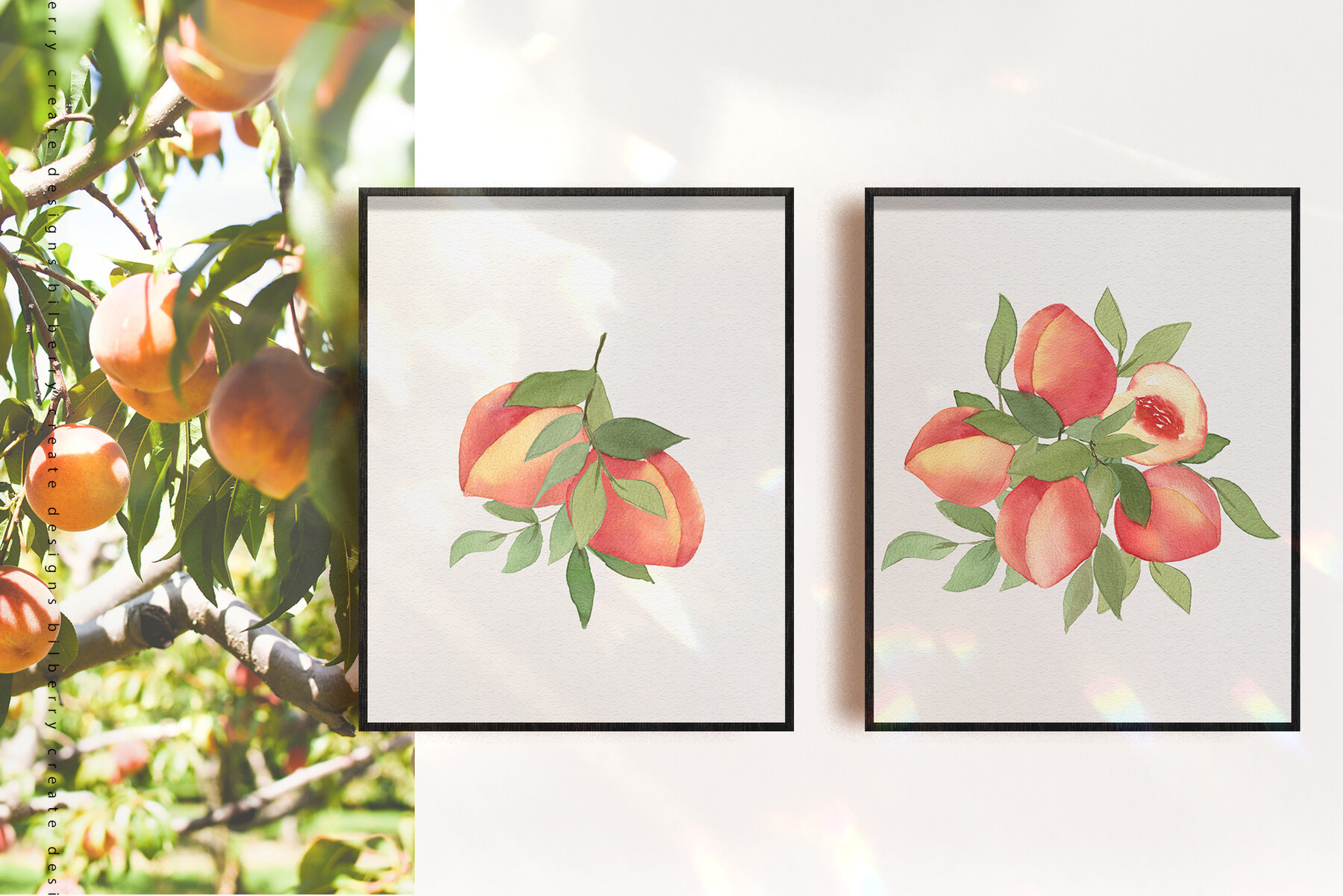 Peachy Mood Collection Peachy Mood Collection