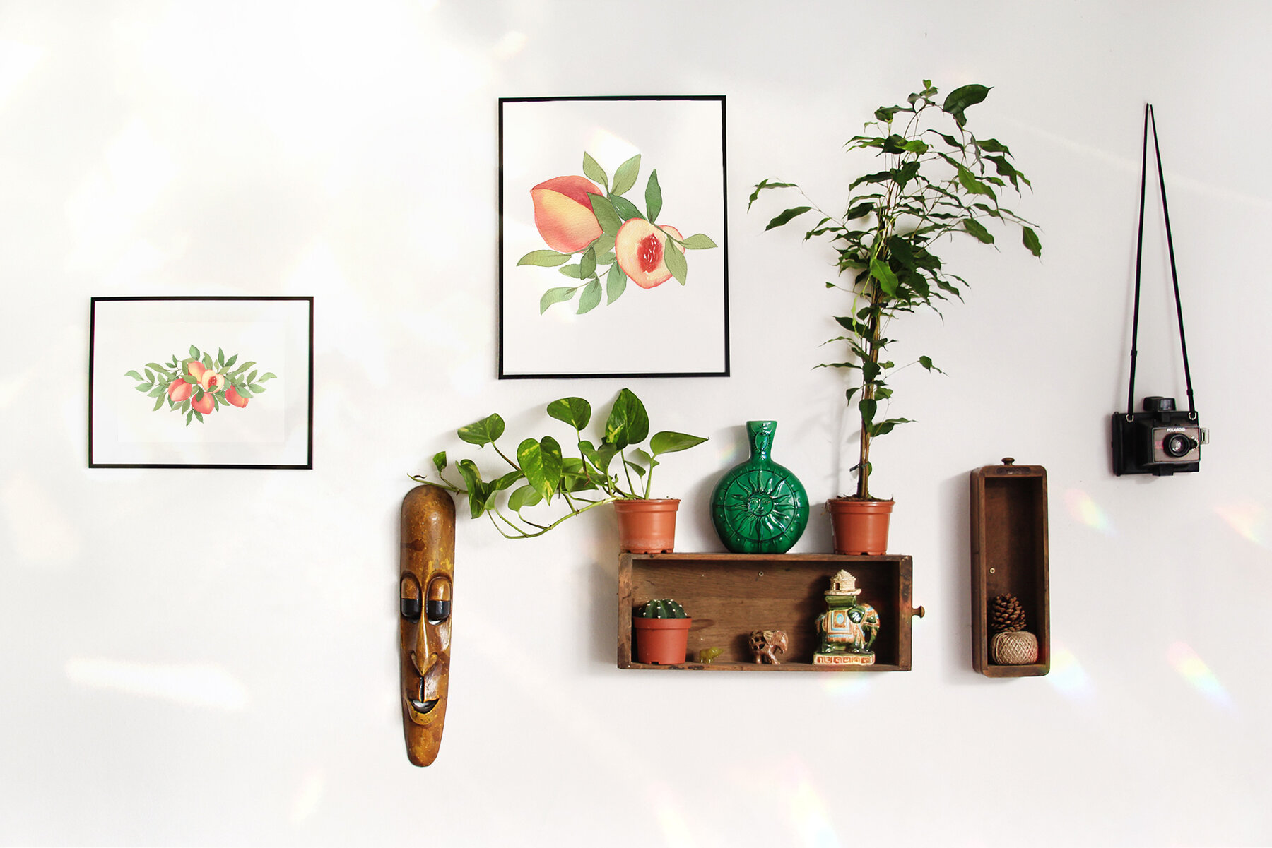 Peachy Mood Collection Peachy Mood Collection
