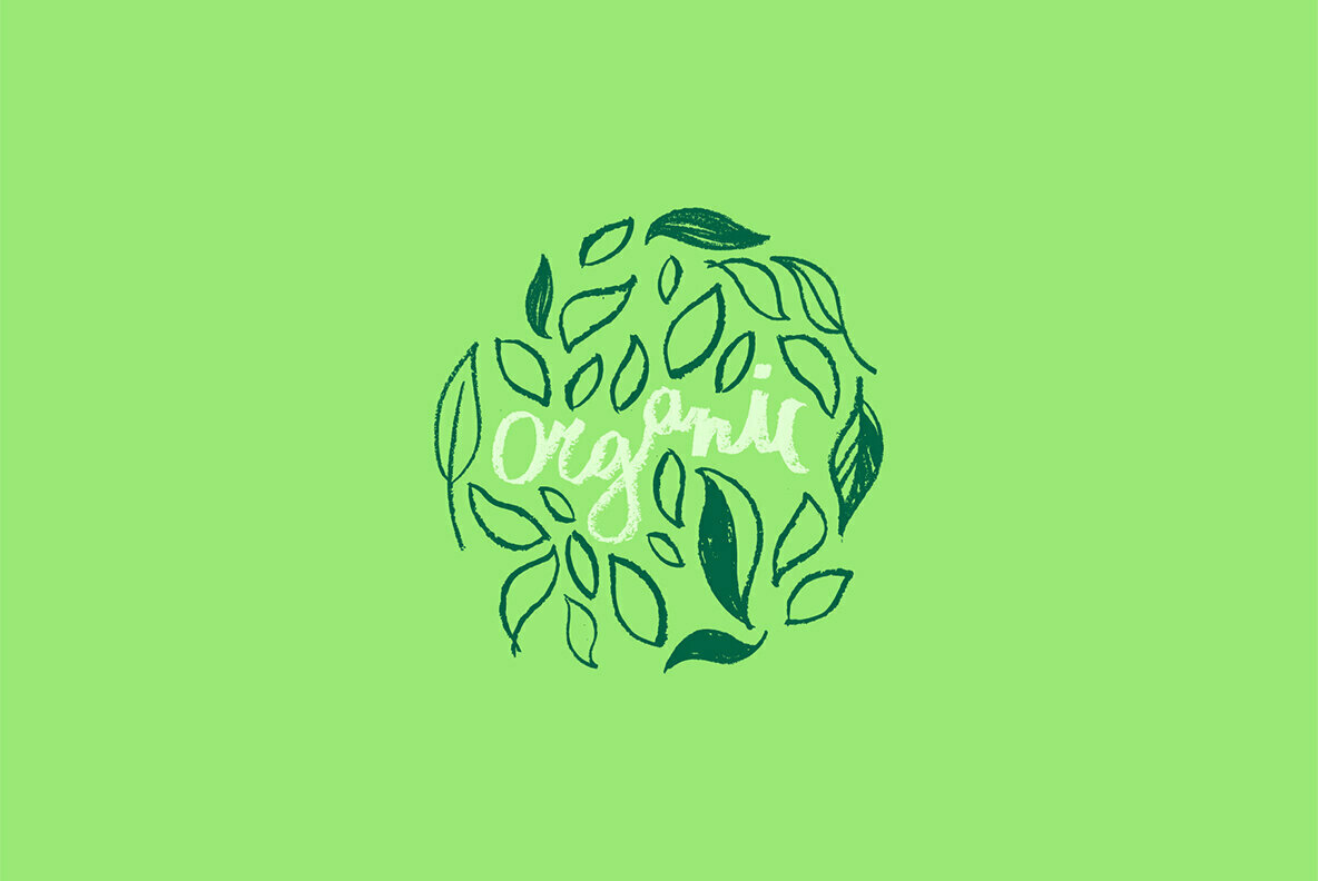 Ecorganic Organic shapes Ecology concept Ecorganic Organic shapes Ecology concept