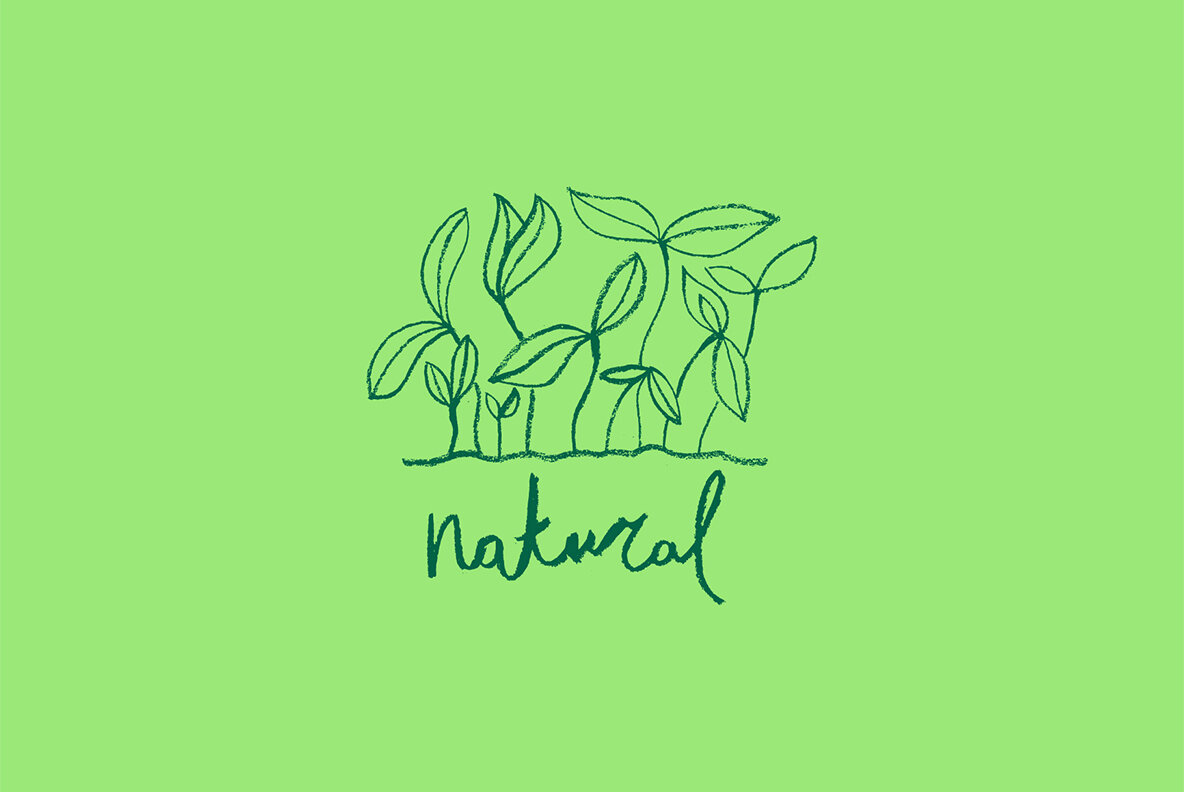 Ecorganic Organic shapes Ecology concept Ecorganic Organic shapes Ecology concept