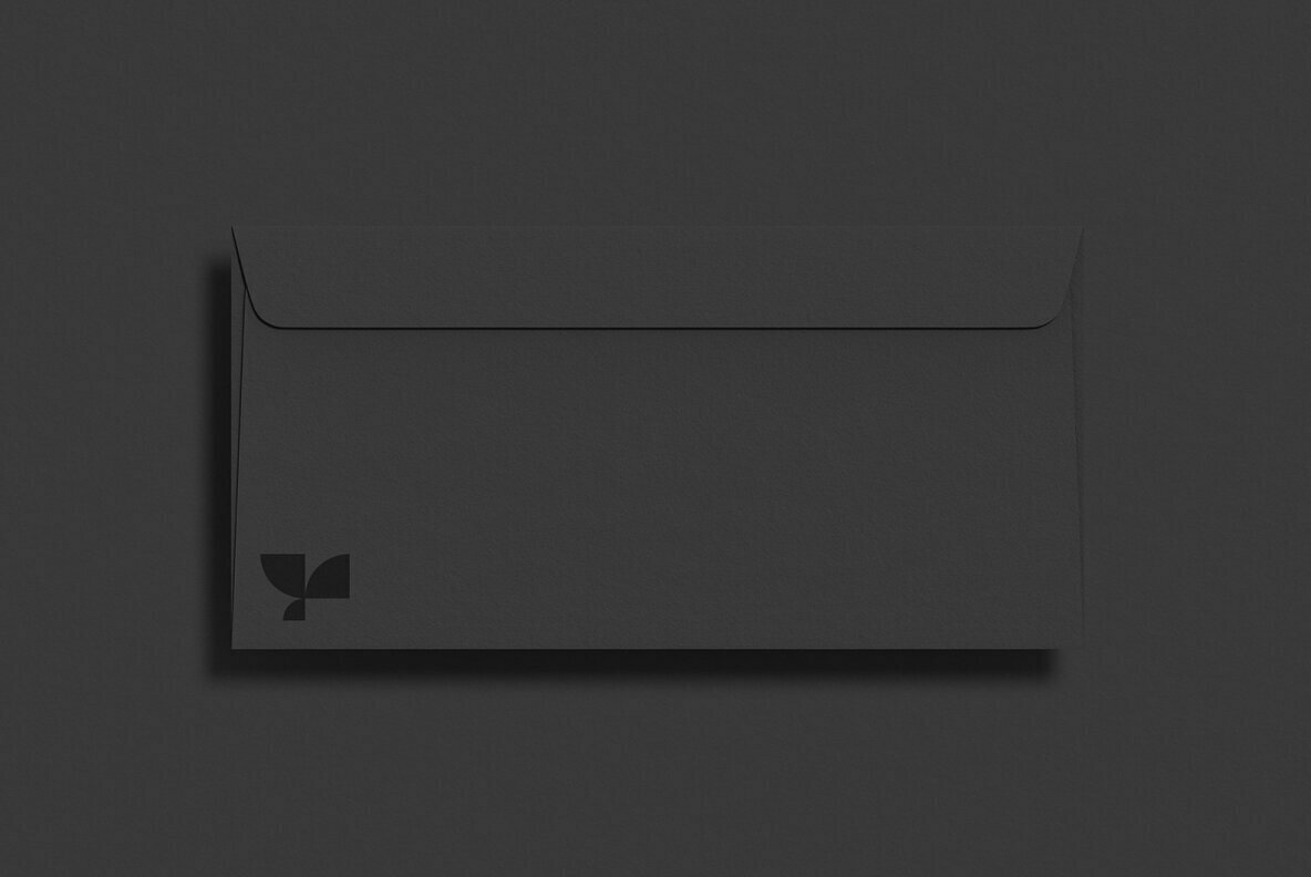 E65 Envelope Standard Mockup 2