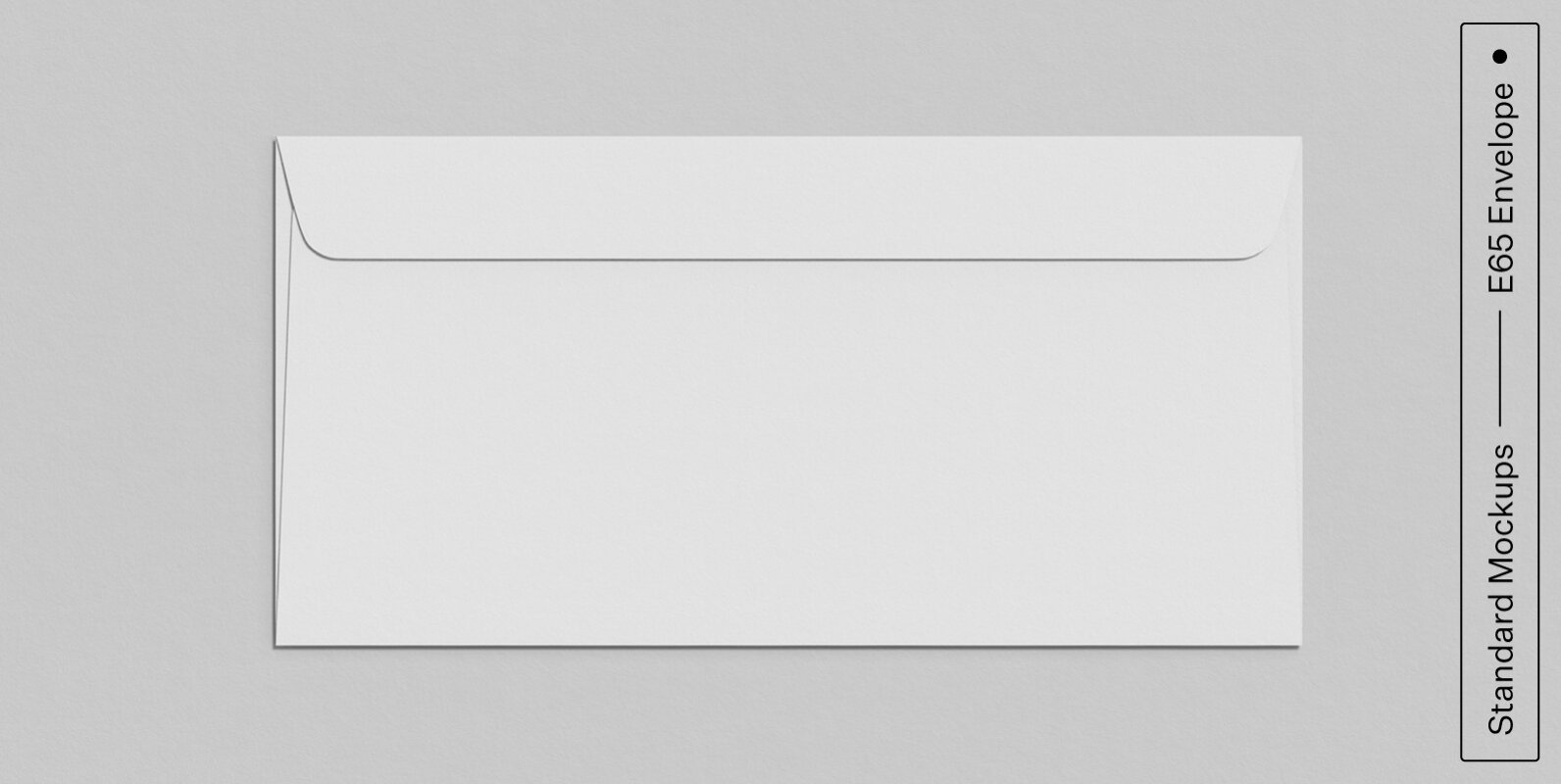 E65 Envelope Standard Mockup E65 Envelope Standard Mockup