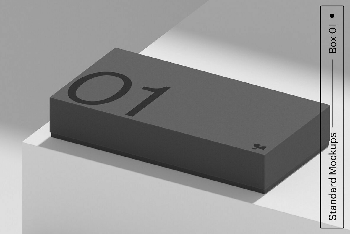 Box 01 Standard Mockup 1