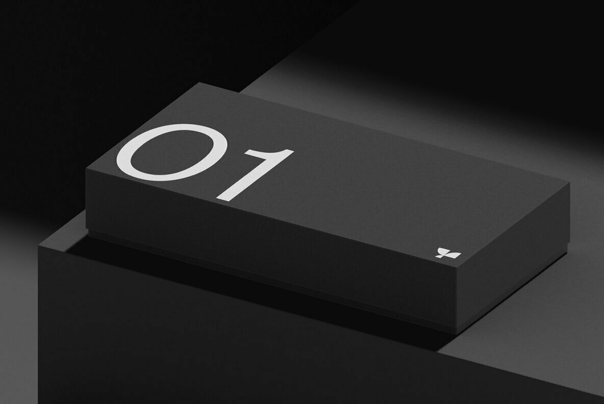 Box 01 Standard Mockup 2