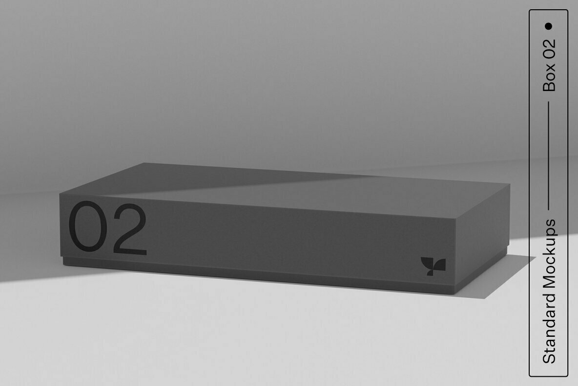 Box 02 Standard Mockup 1