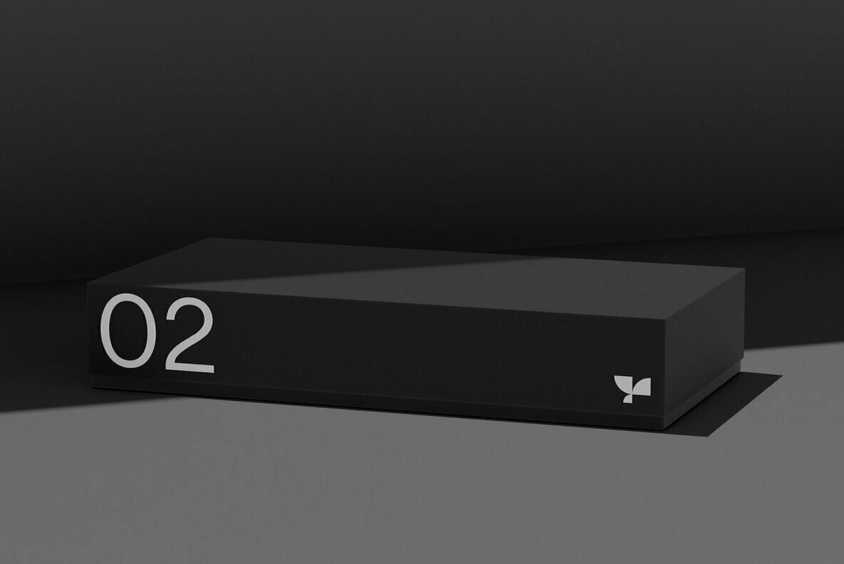 Box 02 Standard Mockup 2