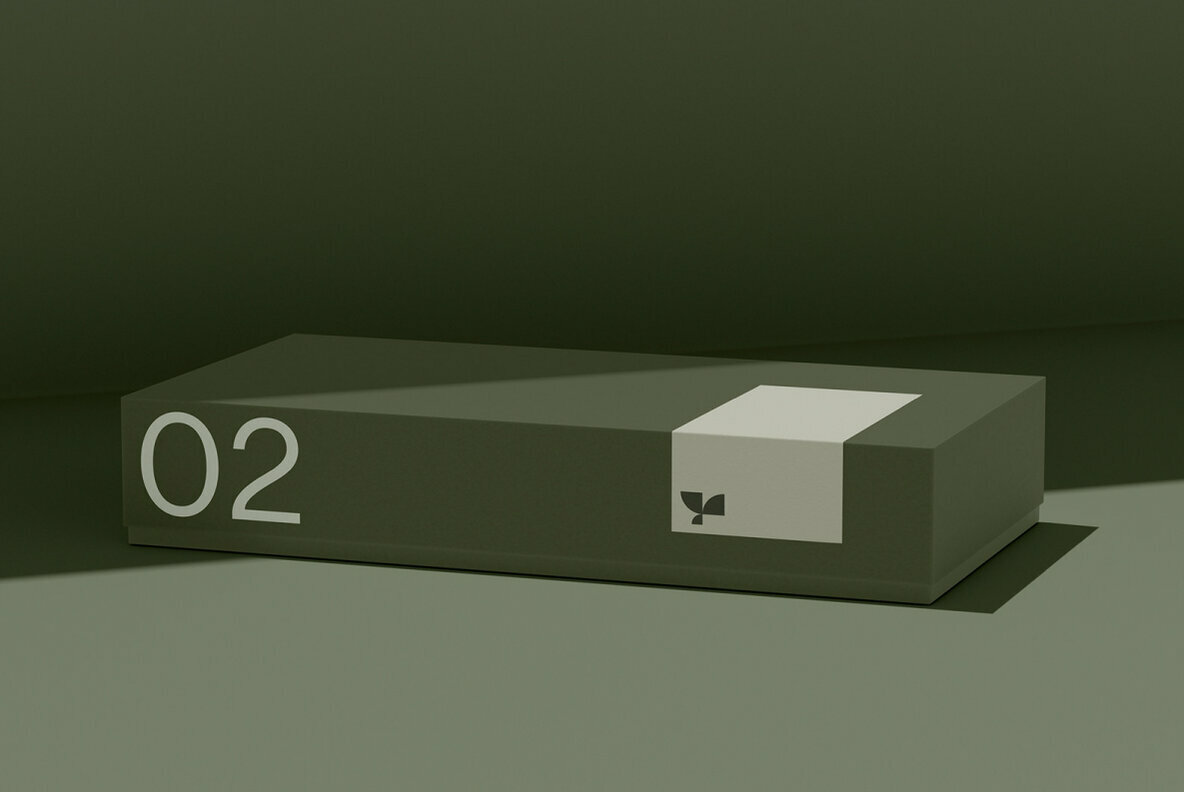 Box 02 Standard Mockup 4